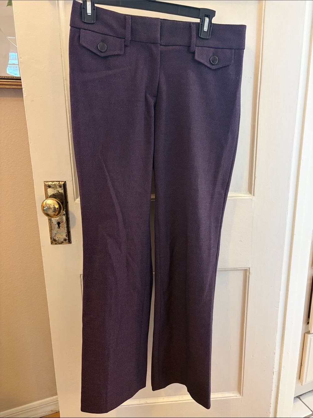 LOFT Plum Textured Women's Pants